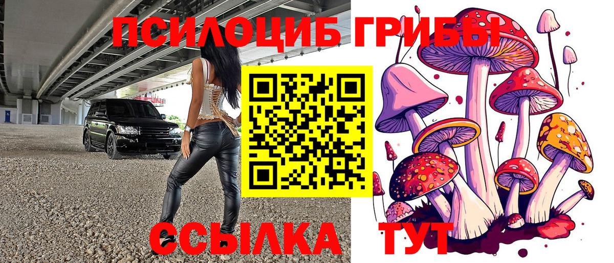 Псилоцибиновые грибы прущие грибы  Вход с VPN  Сергиев Посад 
